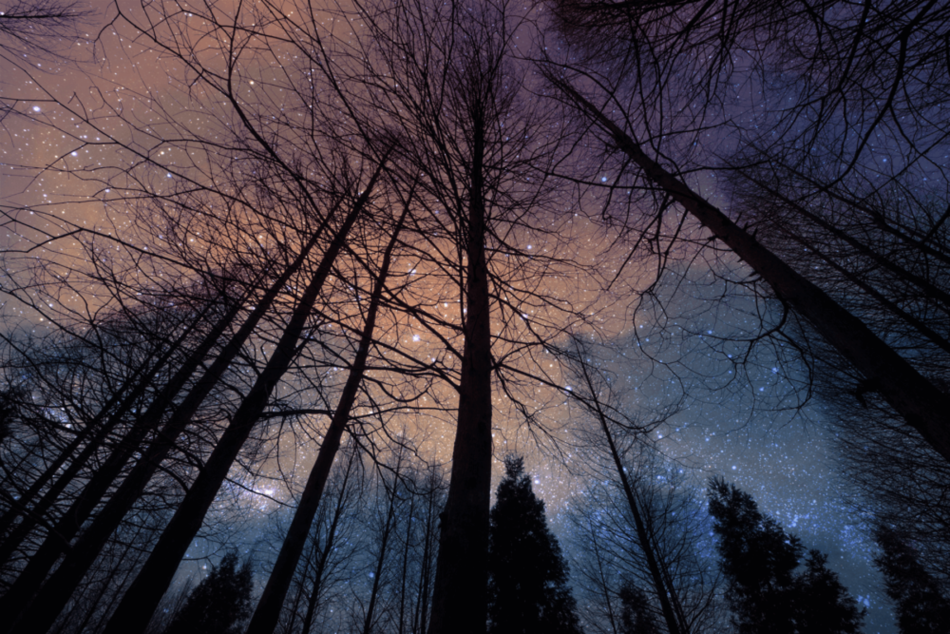 winter_night01-1000x667.png